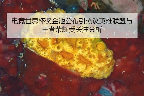 电竞世界杯奖金池公布引热议英雄联盟与王者荣耀受关注分析